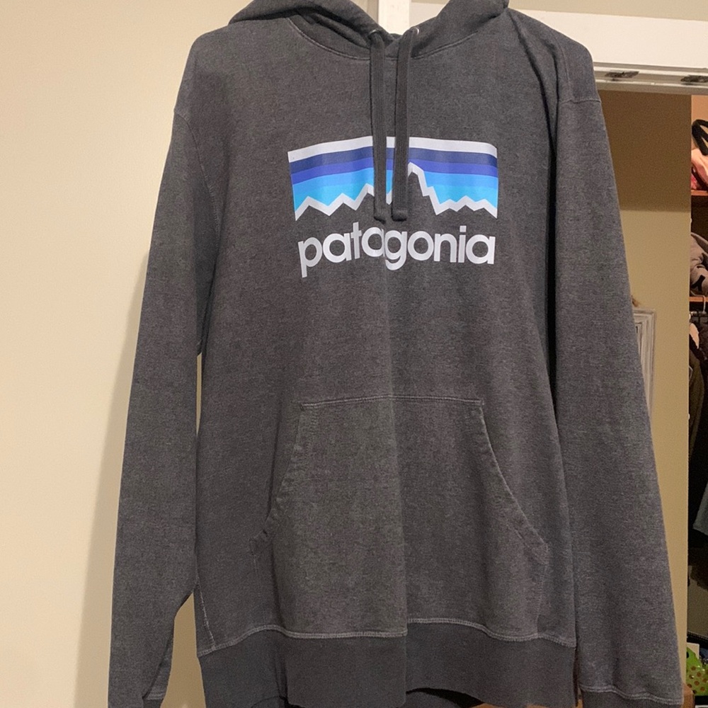 Mens Patagonia hoodie